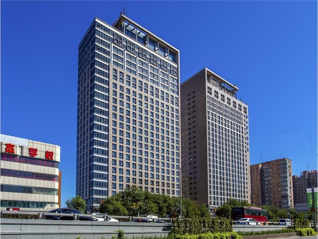 乐清泡沫线条厂家